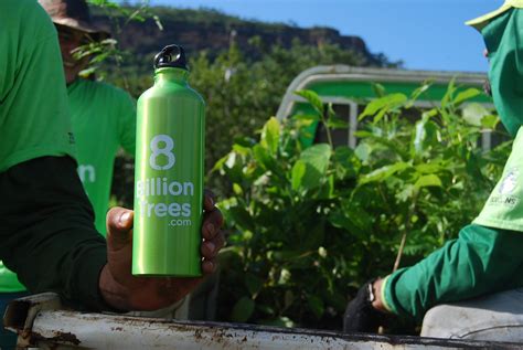 8 billion trees charity rating.